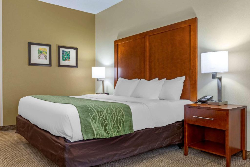 Comfort Inn & Suites Lenoir Hwy 321 Northern Foothills image 12