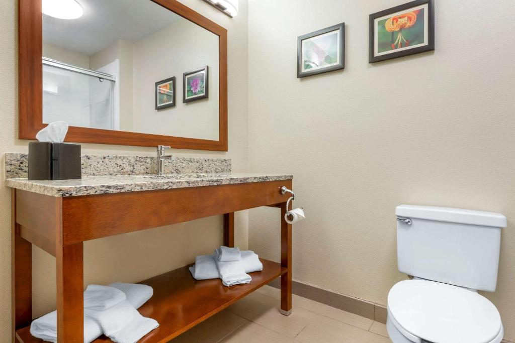 Comfort Inn & Suites Lenoir Hwy 321 Northern Foothills image 19