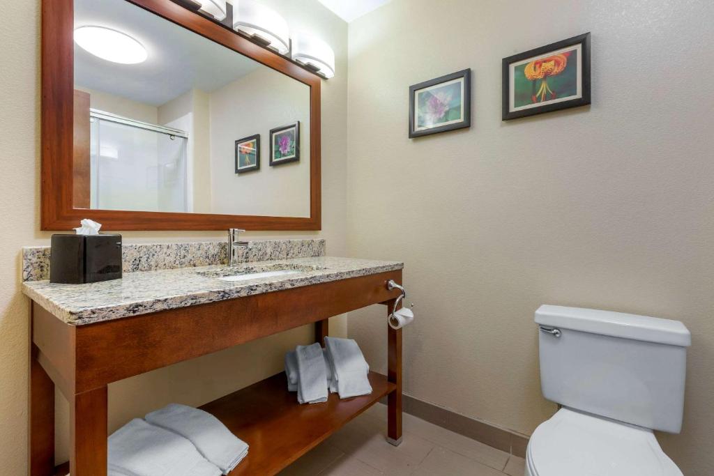 Comfort Inn & Suites Lenoir Hwy 321 Northern Foothills image 24