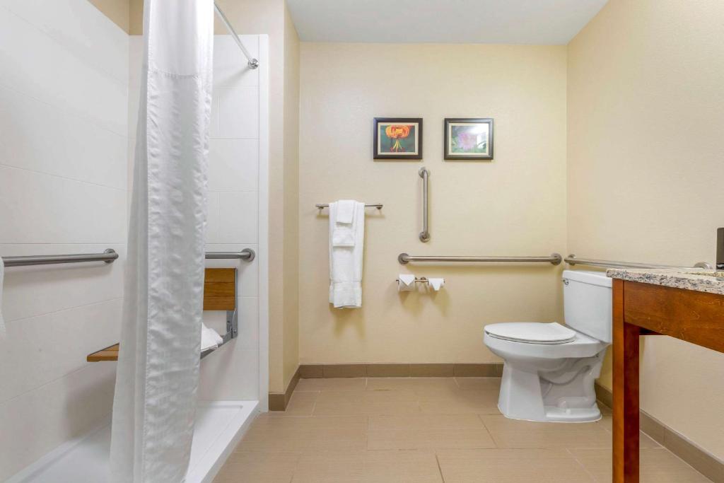 Comfort Inn & Suites Lenoir Hwy 321 Northern Foothills image 6